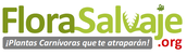 Flora Salvaje Plantas Carnivoras Colombia